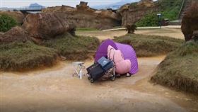 野柳地質公園內竟然出現帳篷族的怪象（圖／翻攝畫面）
