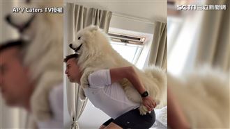 影／笑容不停！　背起萌犬深蹲玩親親