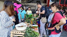 推廣原民傳統野菜  台東縣府鼓勵長者