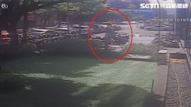 謝和弦,電視台,敬禮,台北