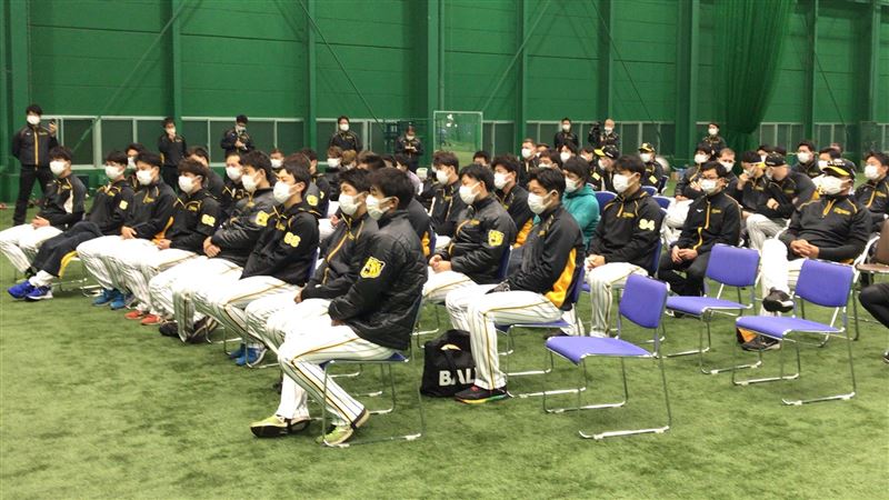 日職／除藤浪外　阪神2球員失去味覺