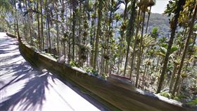 嘉義,山坡,奮起湖,小貨車,翻落