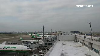 「0旅客」照飛　客機變身貨機幫運貨