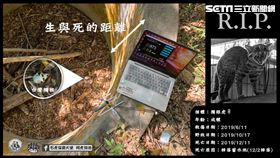 廢棄山林蓄水池（石虎保育大使臉書）