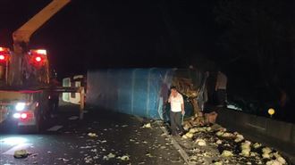 國道驚見高麗菜海　客運司機恍神害撞