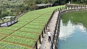 名家專用／草根影響力新視野（勿用）