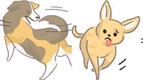 名家專用／毛起來MAOUP（勿用）