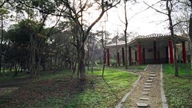 金門，金沙，楓香林（圖／翻攝自金沙鎮公所)
