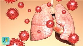 名家專用／NOW健康／一旦口腔不健康，就像是把大量的病菌放在身體的入口一樣，而呼吸系統正好首當其衝。(勿用)