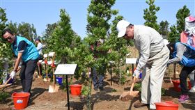 疫情影響  澎湖植樹活動從簡受武漢肺炎（2019冠狀病毒疾病，COVID-19）疫情影響，植樹月活動從簡；澎湖縣長賴峰偉（前右）27日率縣府主管等在菜園生命園區種植小葉南洋杉、恆春山枇杷、台灣石楠、櫸木等樹種，盼營造翠綠環境，打造澎湖成為宜居健康快樂城市。（澎湖縣政府提供）中央社  109年3月27日