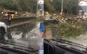 南投暴雨引土石流！大樹倒塌強壓3車　駕駛受傷緊急送醫（圖／翻攝自爆料公社）