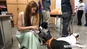 毛品樺（新北市府提供）