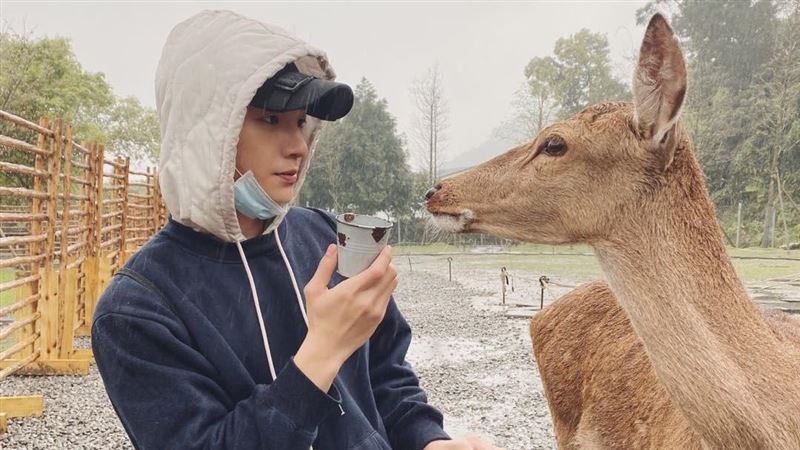 疫情亂工作　鮮肉男星迷登山遭鹿圍堵