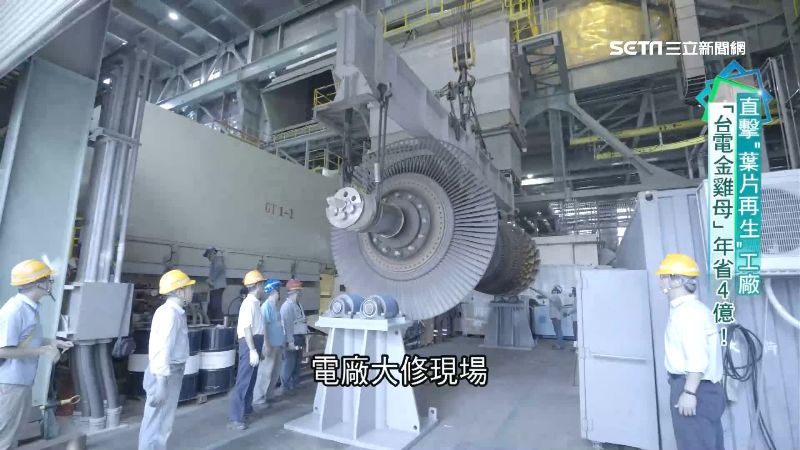 台電金雞母　葉片再生化腐朽為神奇