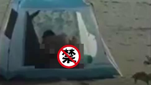 漁光島野戰女主角是誰？網驚爆答案
