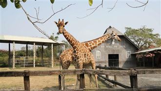 台南日頭赤炎炎　療癒景點黃偉哲狂推