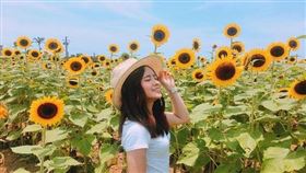 名家專用／旅遊滔客誌（勿用）