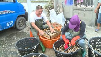 疫情衝擊文蛤業者！推宅配業績增3成