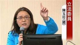 陳玉珍（圖／翻攝自國會頻道）