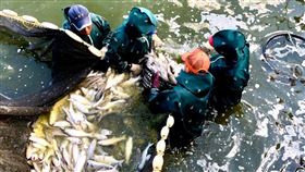 防疫期間　潘孟安推銷屏東漁產品武漢肺炎（2019冠狀病毒疾病，COVID-19）疫情衝擊農漁產品市場，屏東縣長潘孟安今天在臉書推銷屏東的漁產品，力推宅配到府，料理可直上餐桌。（樂漁8提供）中央社記者郭芷瑄傳真　109年3月30日