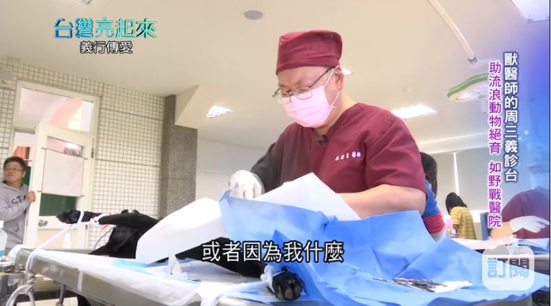 30年守護！獸醫林雅哲助流浪狗節育