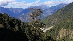 因應清明連假　南橫梅山到天池段取消管制（1）台20線南橫公路梅山口至天池自今年3月17日推行新制度，針對台20臨105線的南橫公路，梅山口至天池段自每週二、四道路管制通行。因應清明連假，公路總局第三區養護工程處表示，取消4月2日管制禁令，讓遊客分流休憩。（甲仙工務段提供）中央社記者王淑芬傳真　109年3月30日