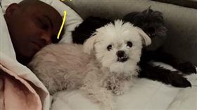 2隻愛犬呢？巴克利淚回：都過世了 NBA,Charles Barkley,養狗,安樂死 翻攝自推特