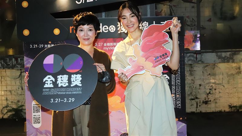 工地女強人是她！女星做模板工發財夢
