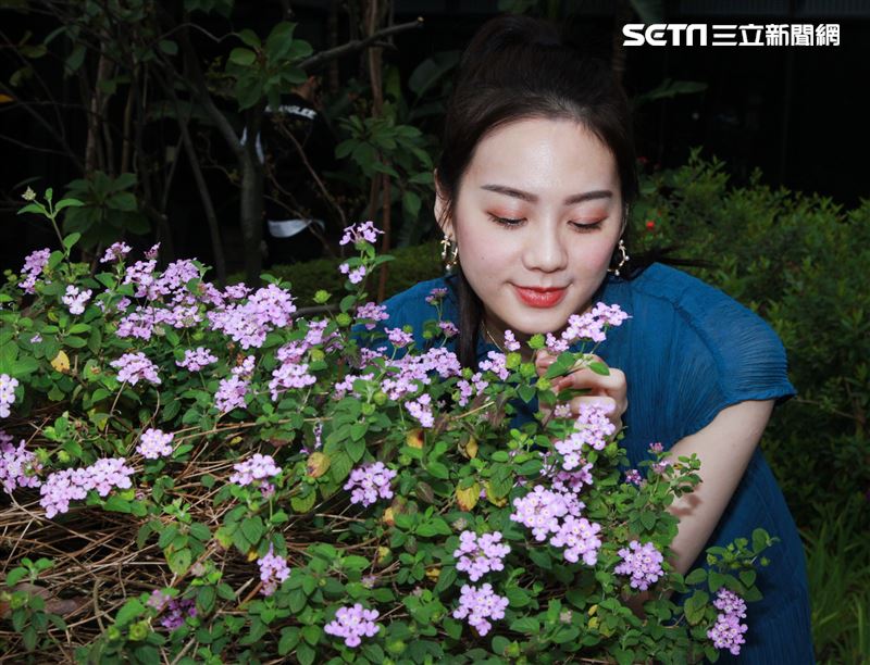 Amy Liu接受三立新聞網專訪。（記者邱榮吉/攝影）