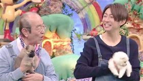 《天才！志村動物園》（日語：天才!志村どうぶつ園）/志村健/相葉雅紀。推特