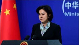 台入世衛有望?她竟嗆:要是主權國家