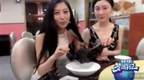 蝙蝠,野味,武漢肺炎,新型冠狀病毒,宿主,吃蝙蝠,女主持人,汪夢雲