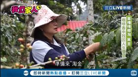 我們一家人,雲林,古坑,咖啡,講師