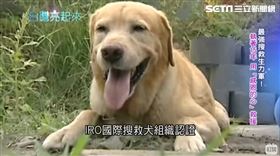 第二屆台灣義行獎褚興中(台灣亮起來)