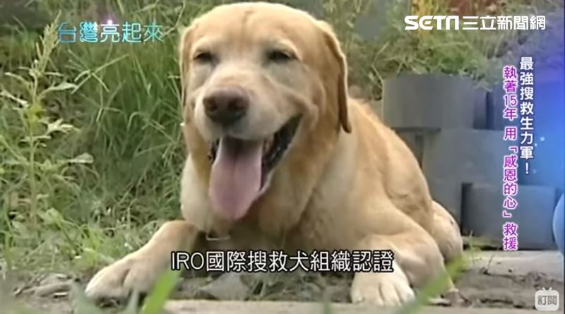 生命無價　褚興中立志培訓災難搜救犬