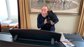 英國著名音樂劇作曲家安德魯．洛伊．韋伯（圖）開始自我隔離之後，透過臉書與粉絲互動，與一群在家的演奏者合奏「歌劇魅影」的經典曲目。（圖取自facebook.com/AndrewLloydWebber）