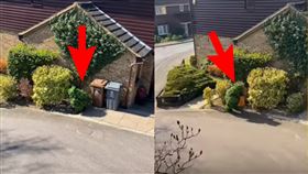 禁足令,英國,民眾,扮樹,搞笑,悶壞