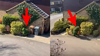 影／英國禁足令　他凍未條偽裝樹…