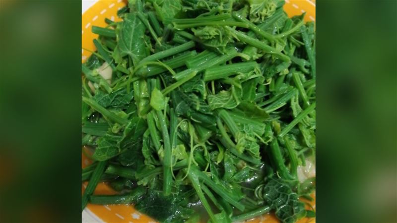龍鬚菜很難吃？網曝銷魂吃法：神等級