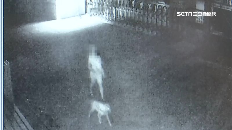 疫情期間闖校園遛狗　最重可罰1萬5
