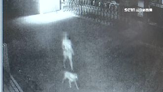 疫情期間闖校園遛狗　最重可罰1萬5