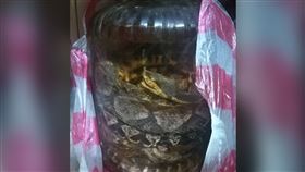 娘家發現「蛇酒」　網一看蛇種全驚呆（圖／翻攝自爆廢公社）