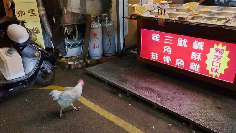 鹽酥雞攤有貴客　網笑：保證新鮮