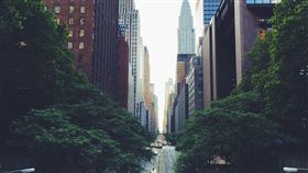 海龜,高級,336例,保全,高級住宅區,pixabay