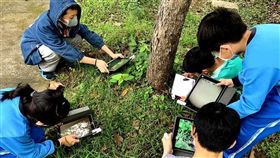 動物檢定,新北市
圖/新北市教育局提供