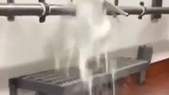 疫情壓迫　美國數十萬加侖牛奶倒水溝