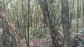 竹林,內湖,三屍命案　翻攝畫面