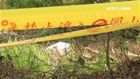 高雄裸女桶屍案