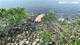 台北橋下河濱公園驚見1具中年女屍。（圖／讀者提供）