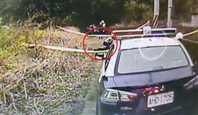 苗栗,電纜,偷竊,死亡,摔死（圖／翻攝畫面）